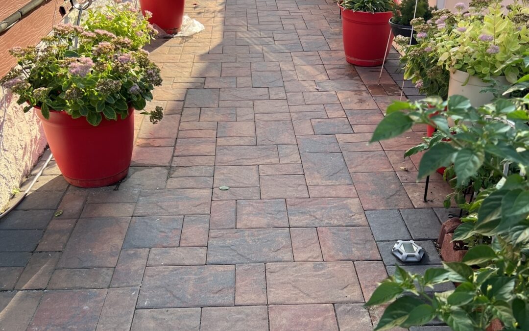 Budget-Friendly Paver Projects That Look Expensive