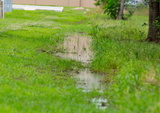 How to Fix Standing Water in Your Yard Without Major Construction